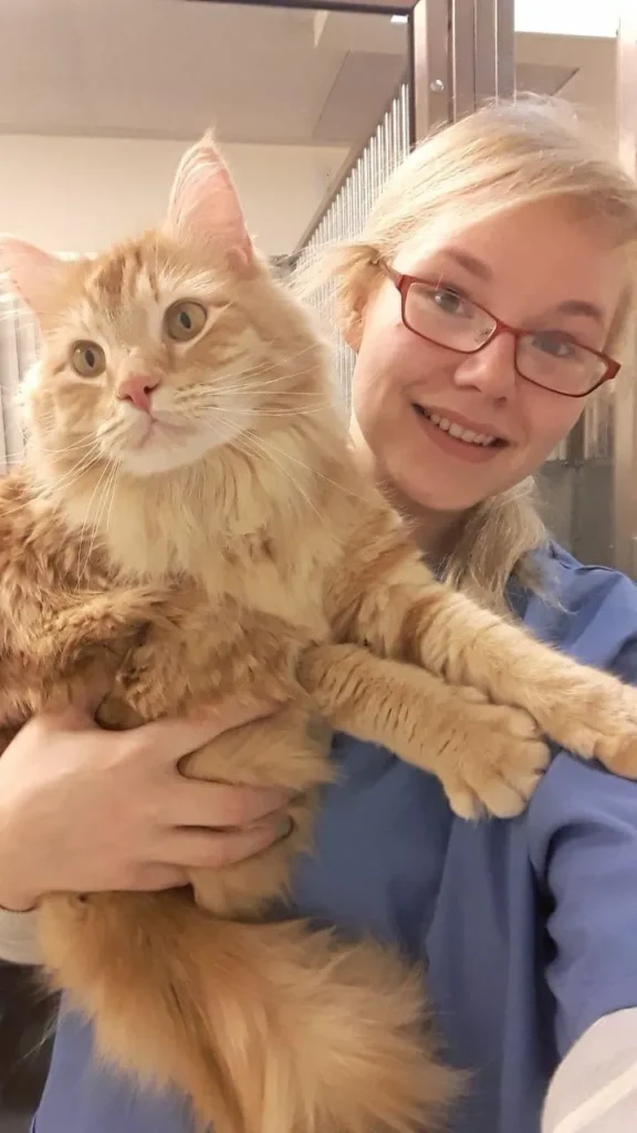 A woman holding an orange cat with white fur.